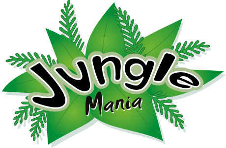 Kids & Play at Jungle Mania Soft Play Centre & Cafe